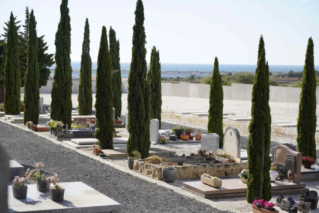 Alignement de monuments funéraires et sépultures dans un cimetière bordé de cyprès