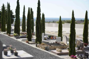 fleurs dans un vase dans un cimetiere